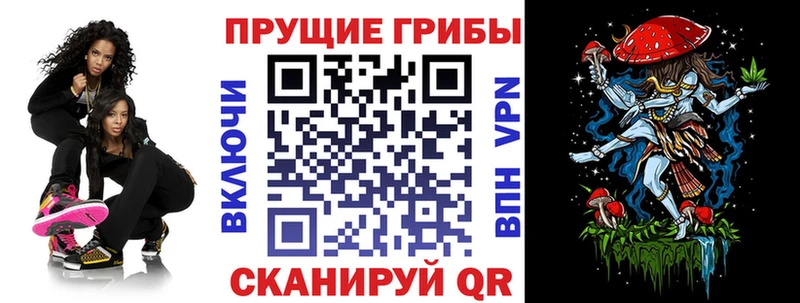 Псилоцибиновые грибы Psilocybe  Егорьевск 