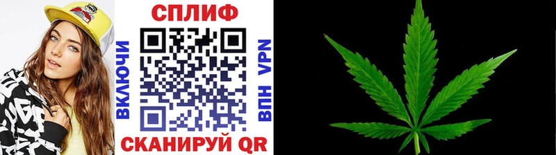 где купить наркотик  Егорьевск  Канабис ГИДРОПОН 